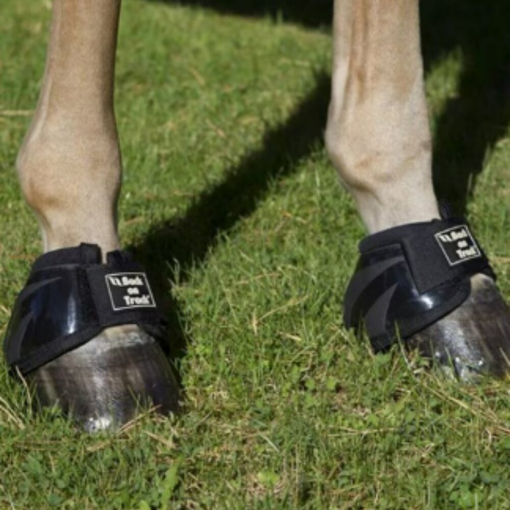 Back on Track Performance Bell Boots